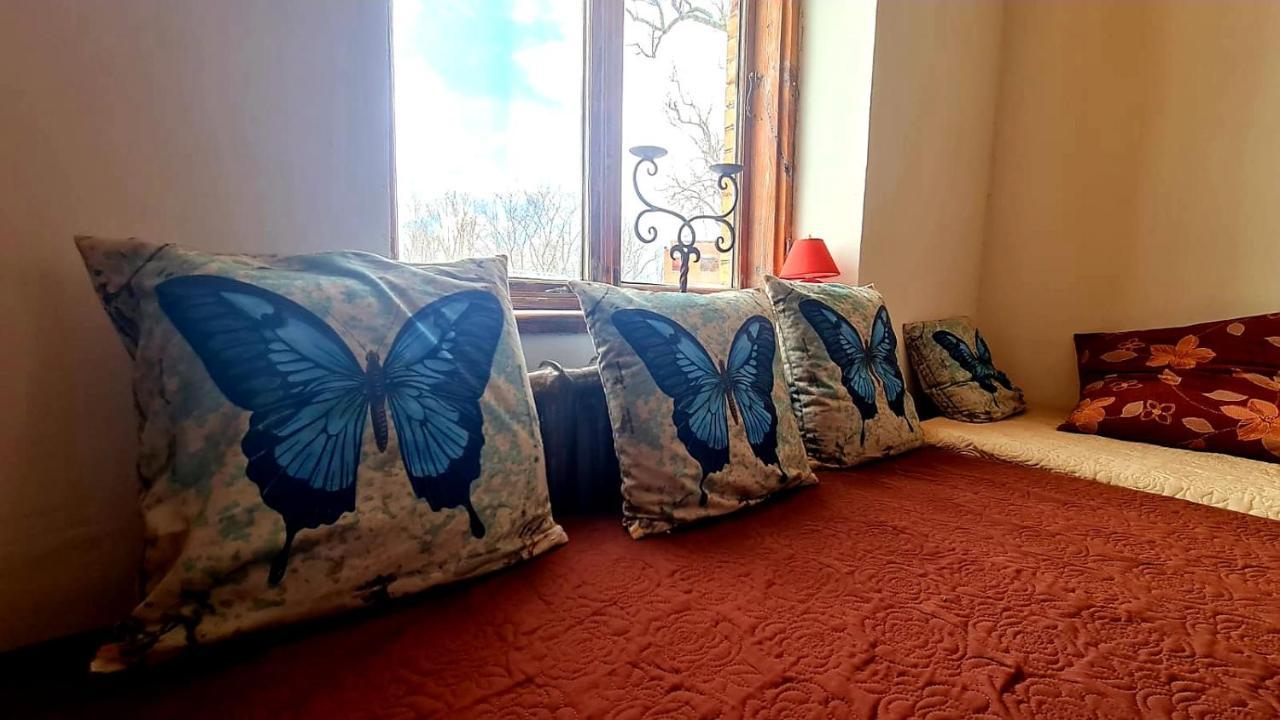 Butterfly House Lejlighed Pāvilosta Eksteriør billede